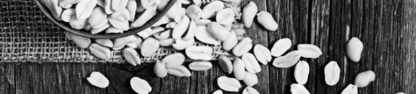 땅콩버터 보관: 땅콩 보관방법