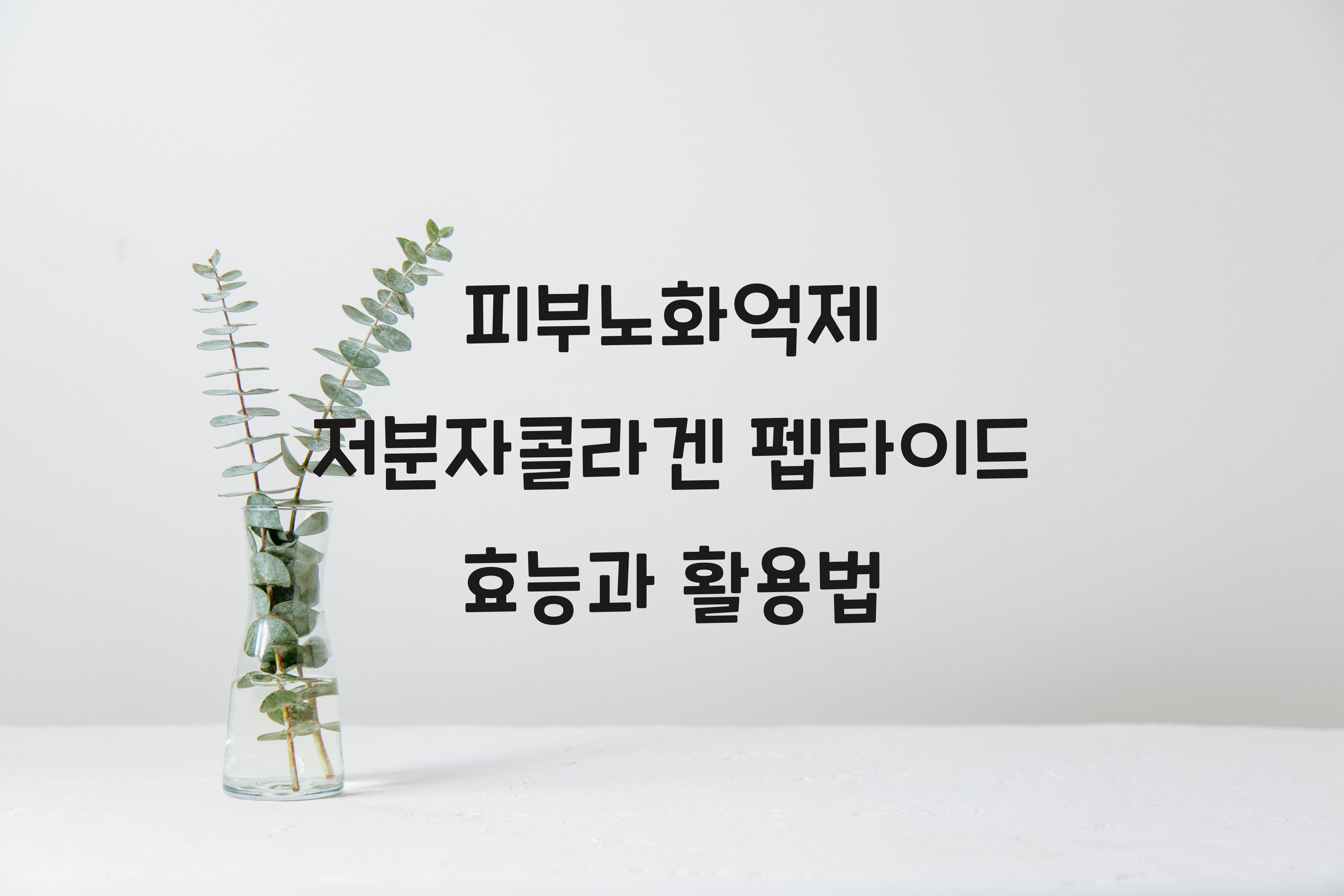 피부노화억제 저분자콜라겐 펩타이드