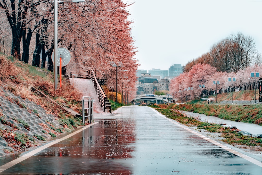 Seoul