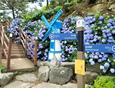 경상권 수국명소 추천 7곳, 여름의 정취를 만끽할 수 있는 곳