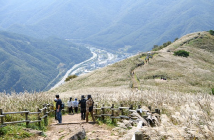 민둥산 억새꽃축제