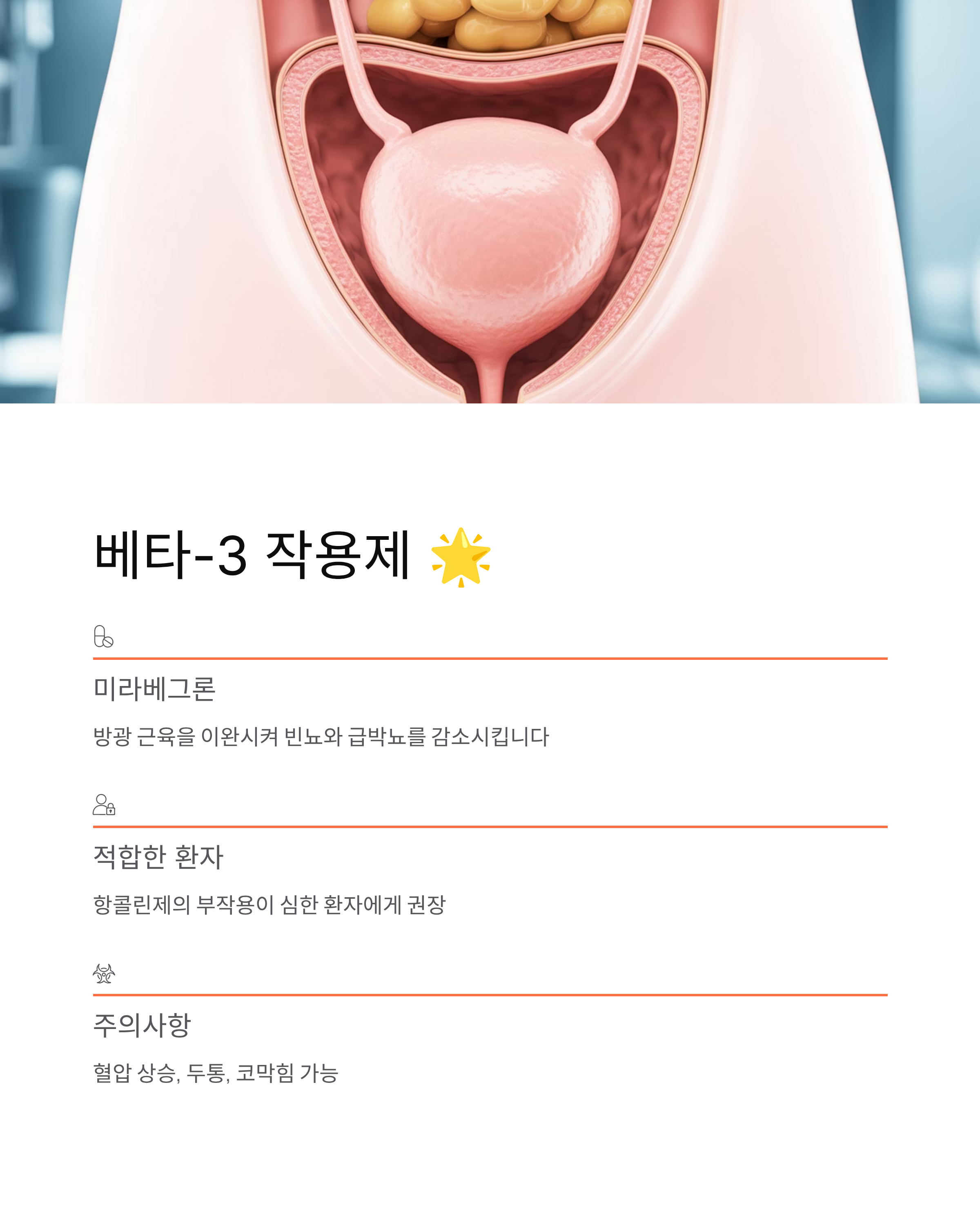 전립선 비대증 치료제 총정리약물별 효능과 부작용 완벽 가이드 💊