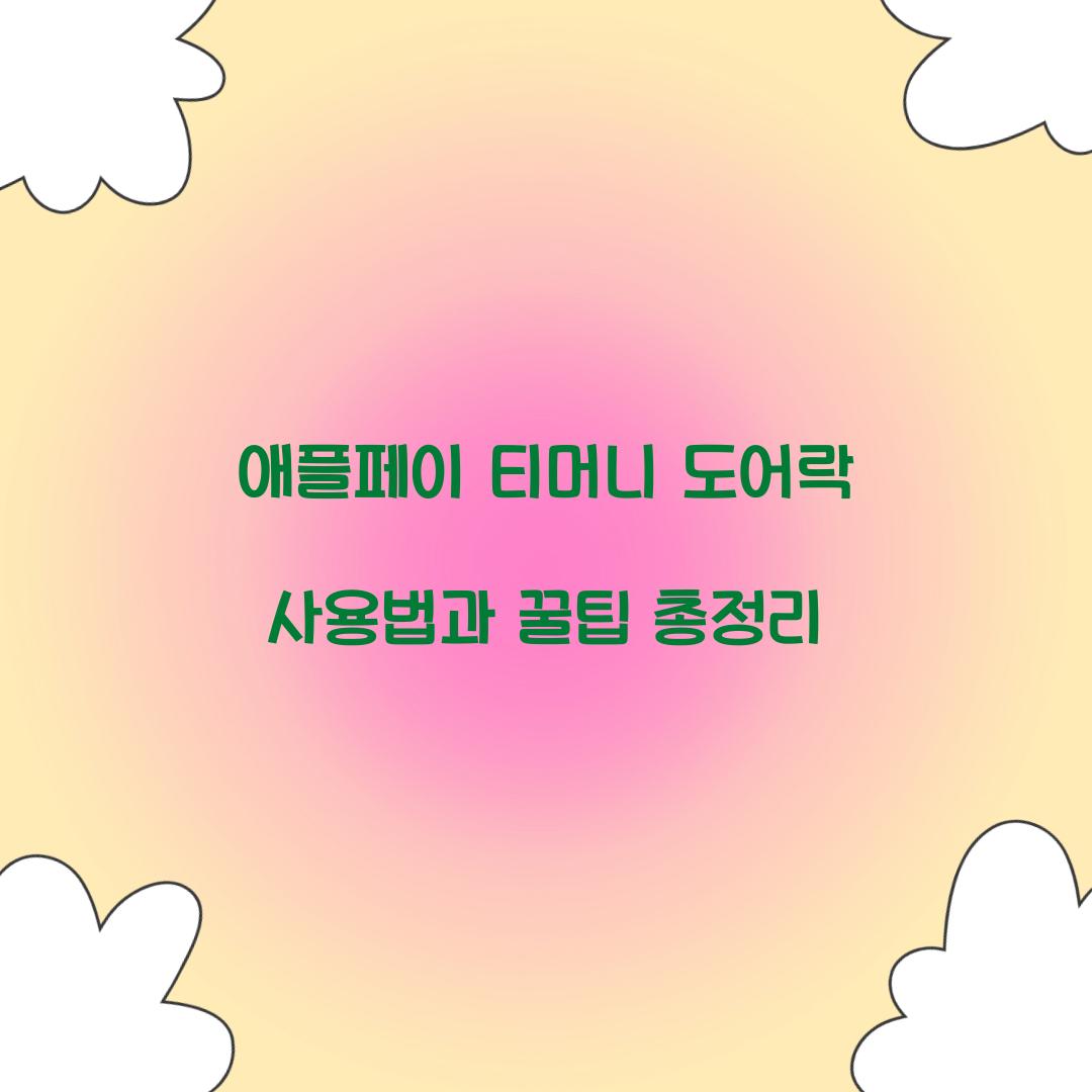 애플페이 티머니 도어락