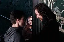 해리포터와 불사조의 기사단