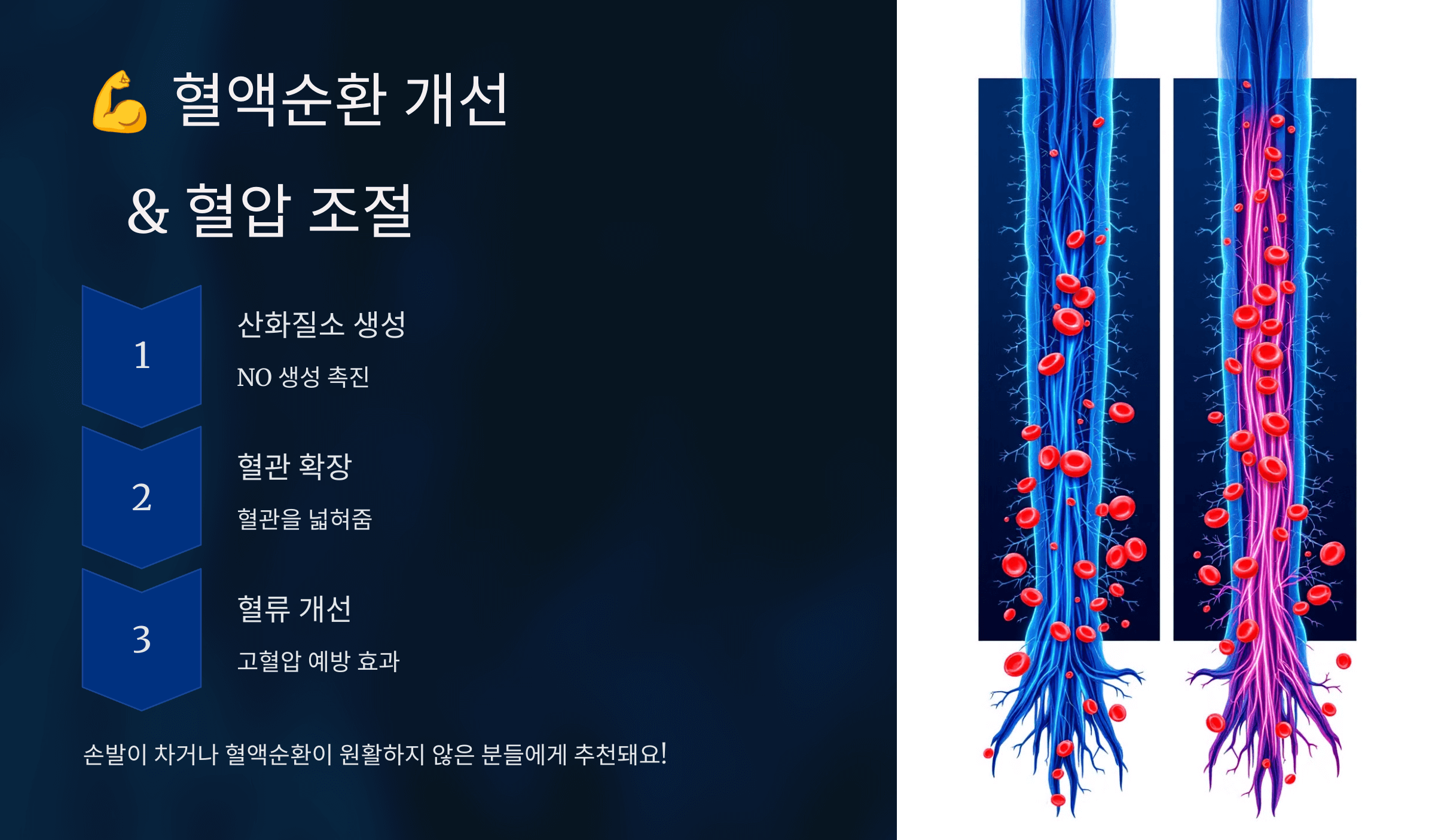 아르기닌과 관련된 사진입니다.