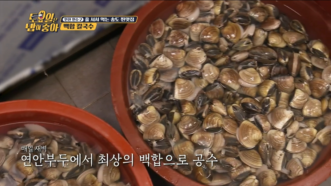신선한-백합