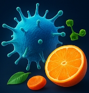 비타민 C 효능