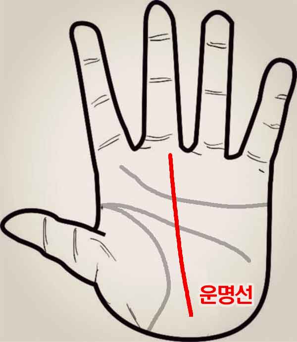 손금 운명선 모양