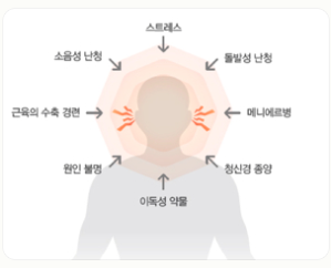이명 증상 원인 치료방법