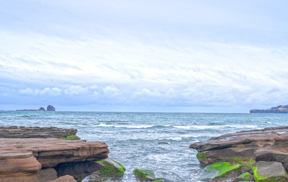 제주도 신상 핫플레이스 & 로컬 맛집 완전정복 꿀팁-사계해안