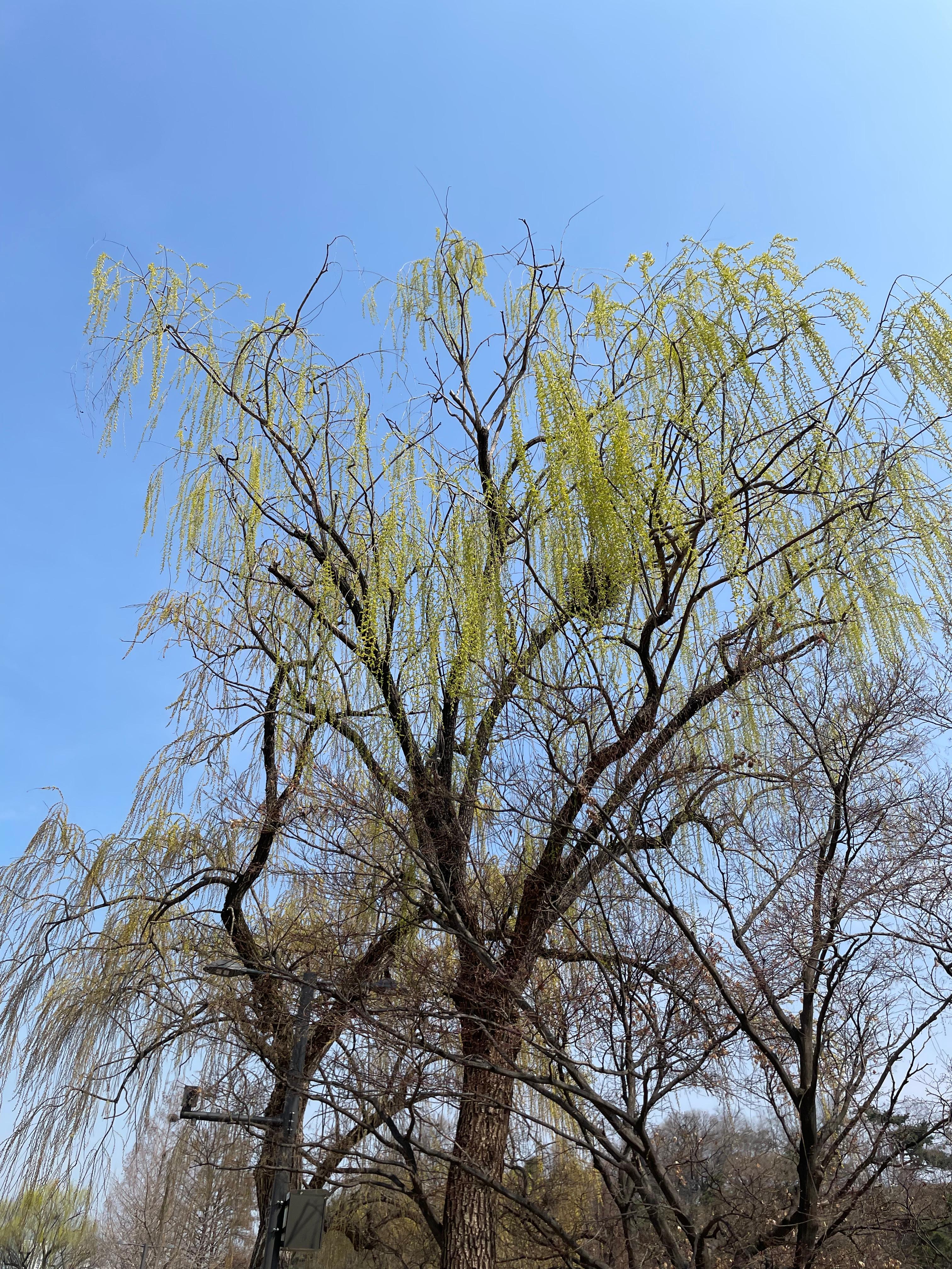 공원 산책하며 사진 찍기