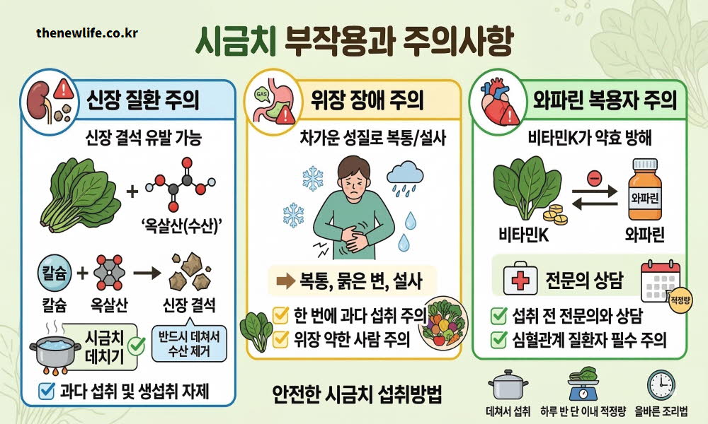 시금치 부작용과 주의사항을 설명하는 이미지