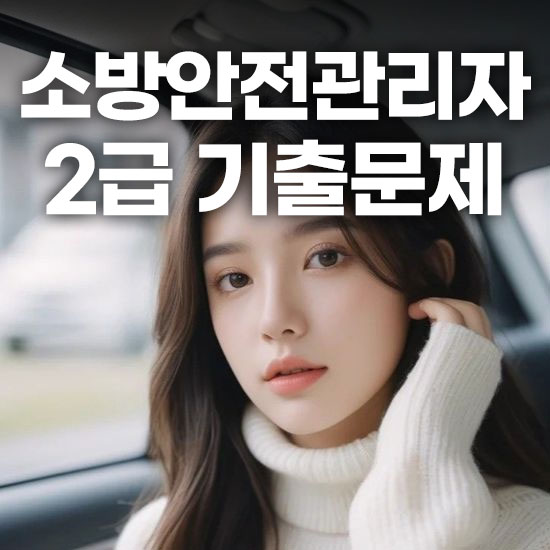 소방안전관리자 2급 기출문제