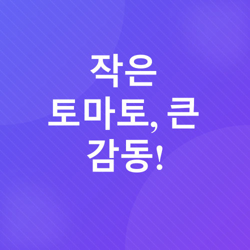 방울토마토 기르기_1