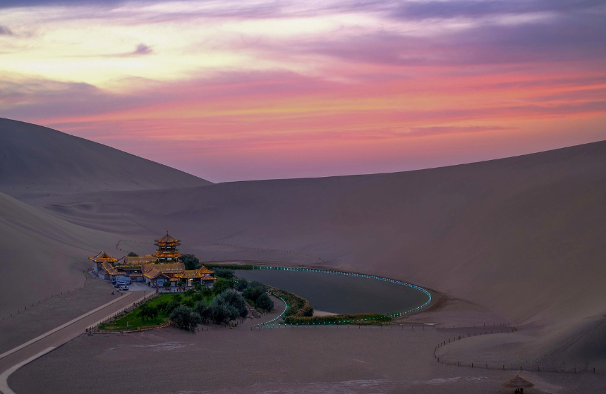 오아시스 vs 사막투어 차이