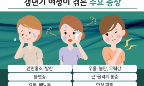 갱년기 이미지