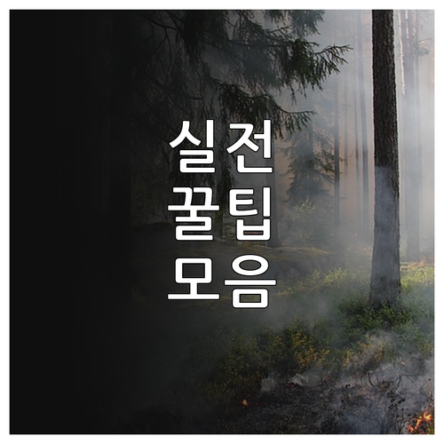 경기도 2025년 와상 장애인 활동지..