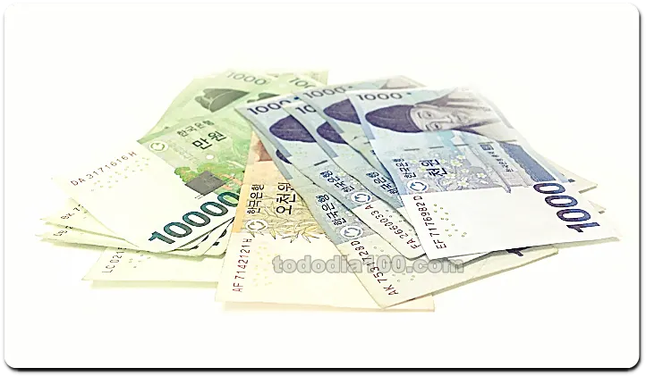 cont.insure.or.kr 보험찾기