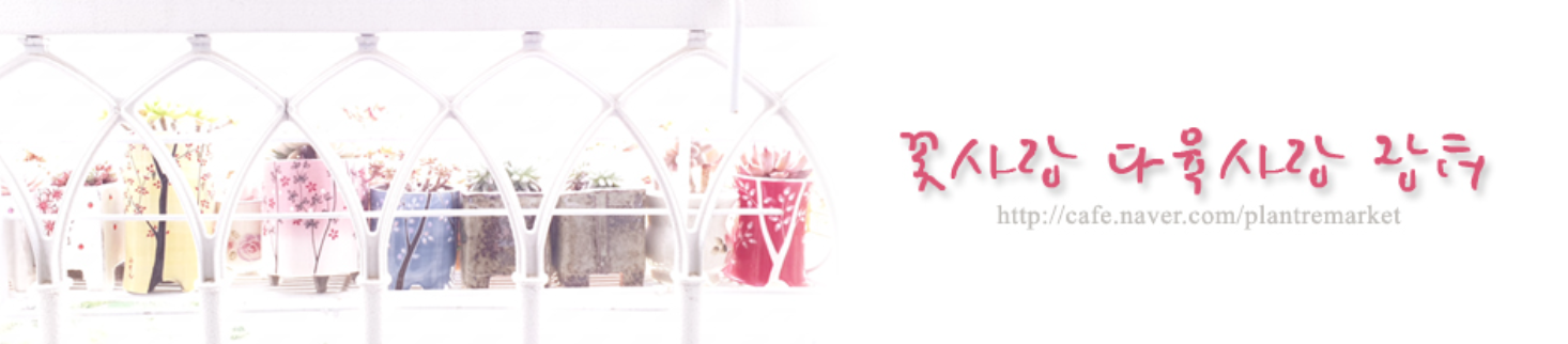 꽃사랑-다육사랑-장터-카페-배너-이미지
