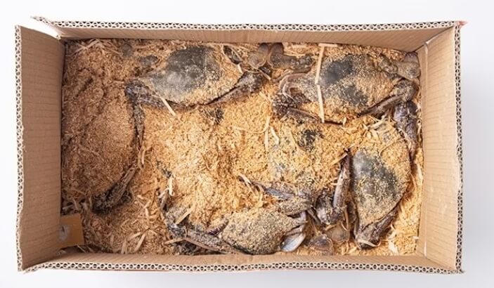 박스에-가득한-톱밥-꽃게