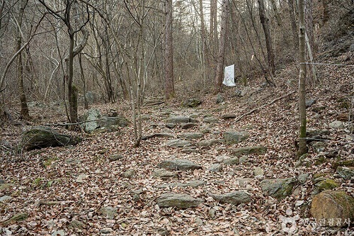 유명산 (사진출처:대한민국구석구석)