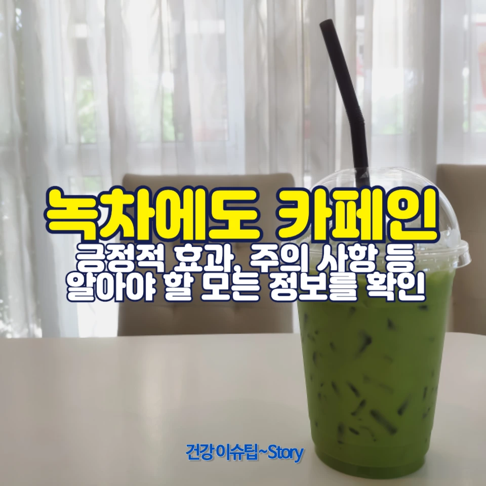 녹차에도 카페인이 들어있다?