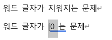 워드(word)-글자에러-예시