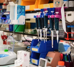 빈혈 증상 원인 치료 방법