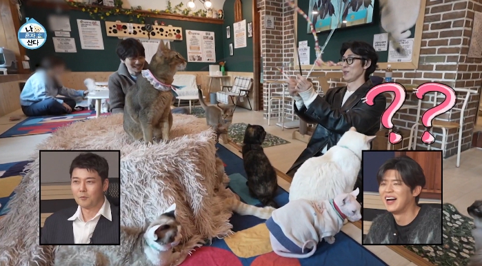 나혼자산다-부산-고양이카페