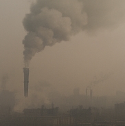 가래가 생기는 원인