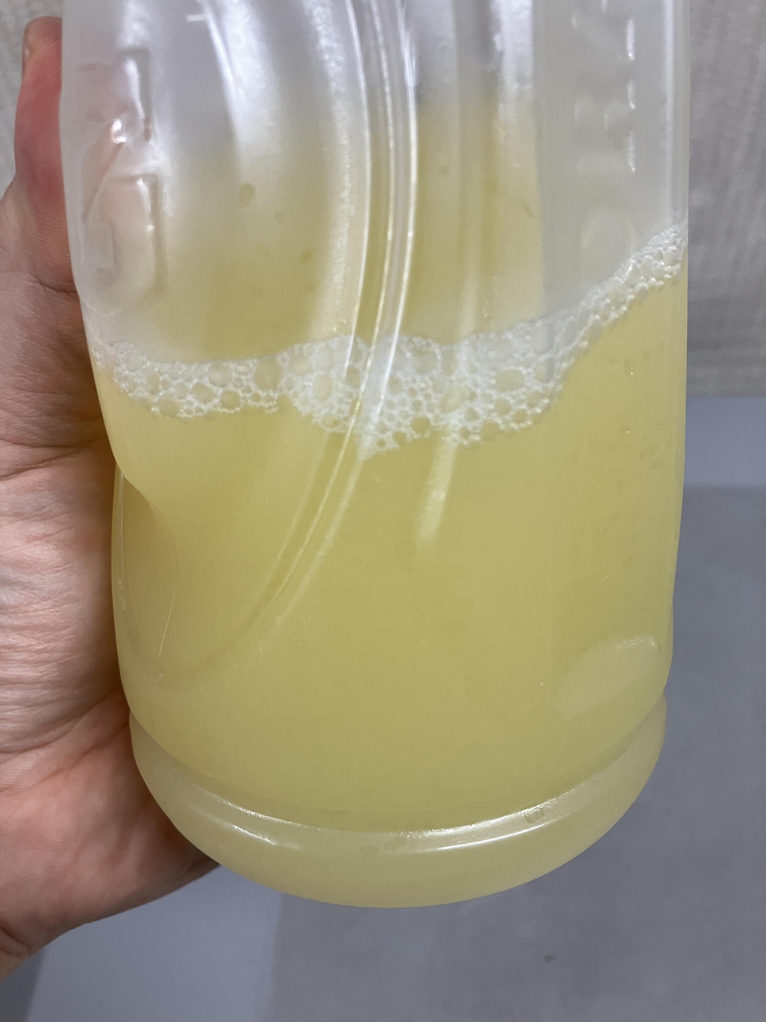 깔라만시 쥬스만들기