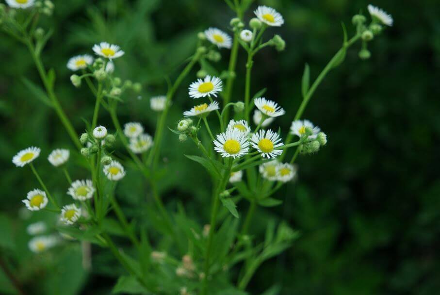 2025 덕수궁 &#39;밤의 석조전&#39; 티켓 예매(추첨제 로 진행)