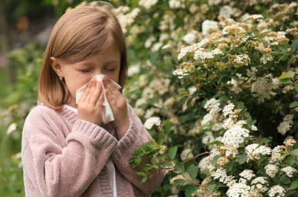 어린이 봄 알레르기 주요 증상 이미지사진