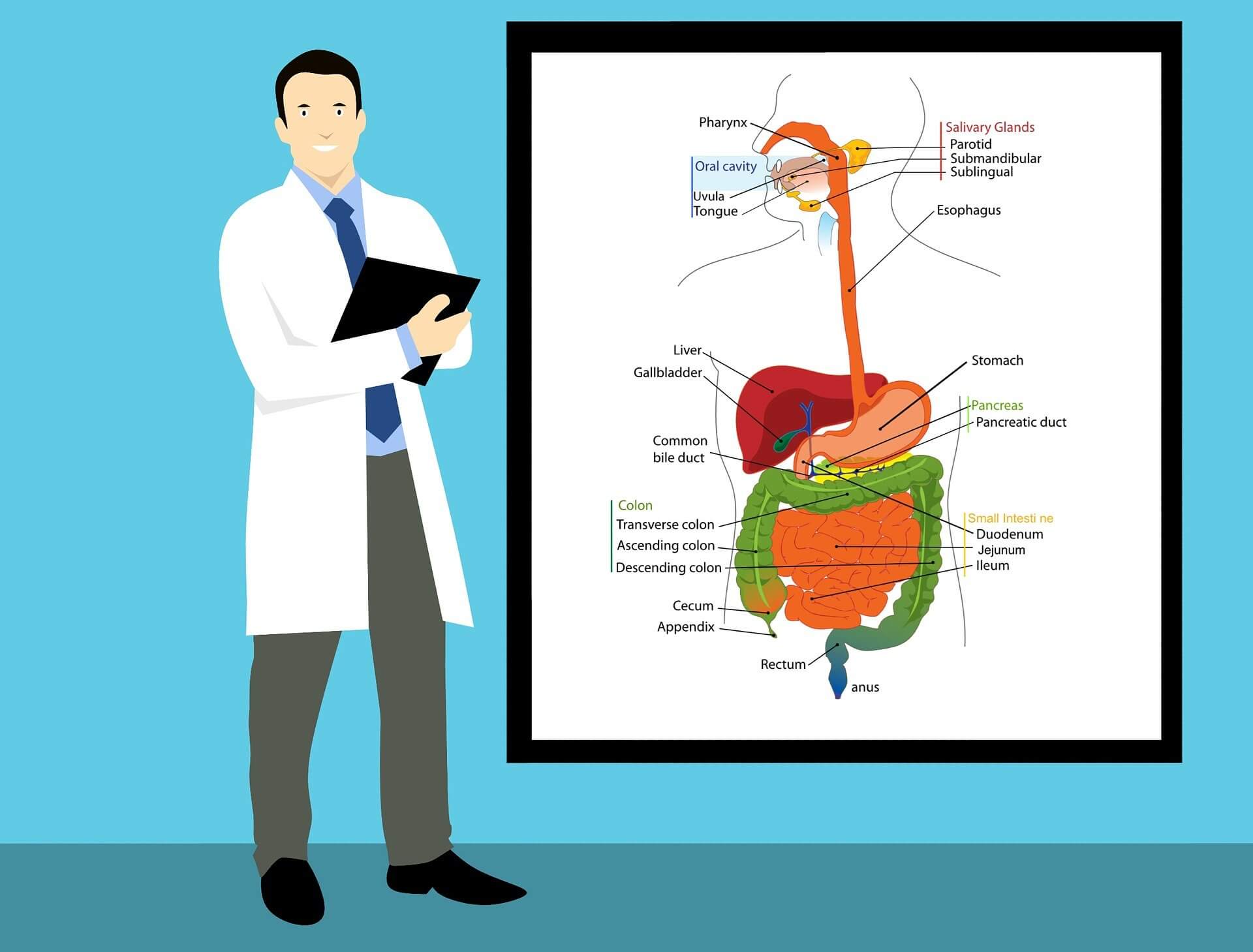 면역력 감소로 인한 암 발생 확률 증가