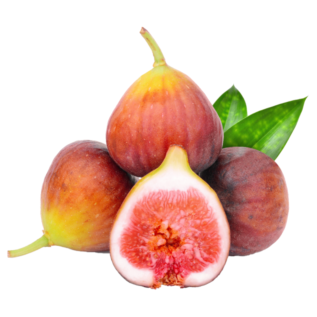 무화과와 관련된 사진입니다.