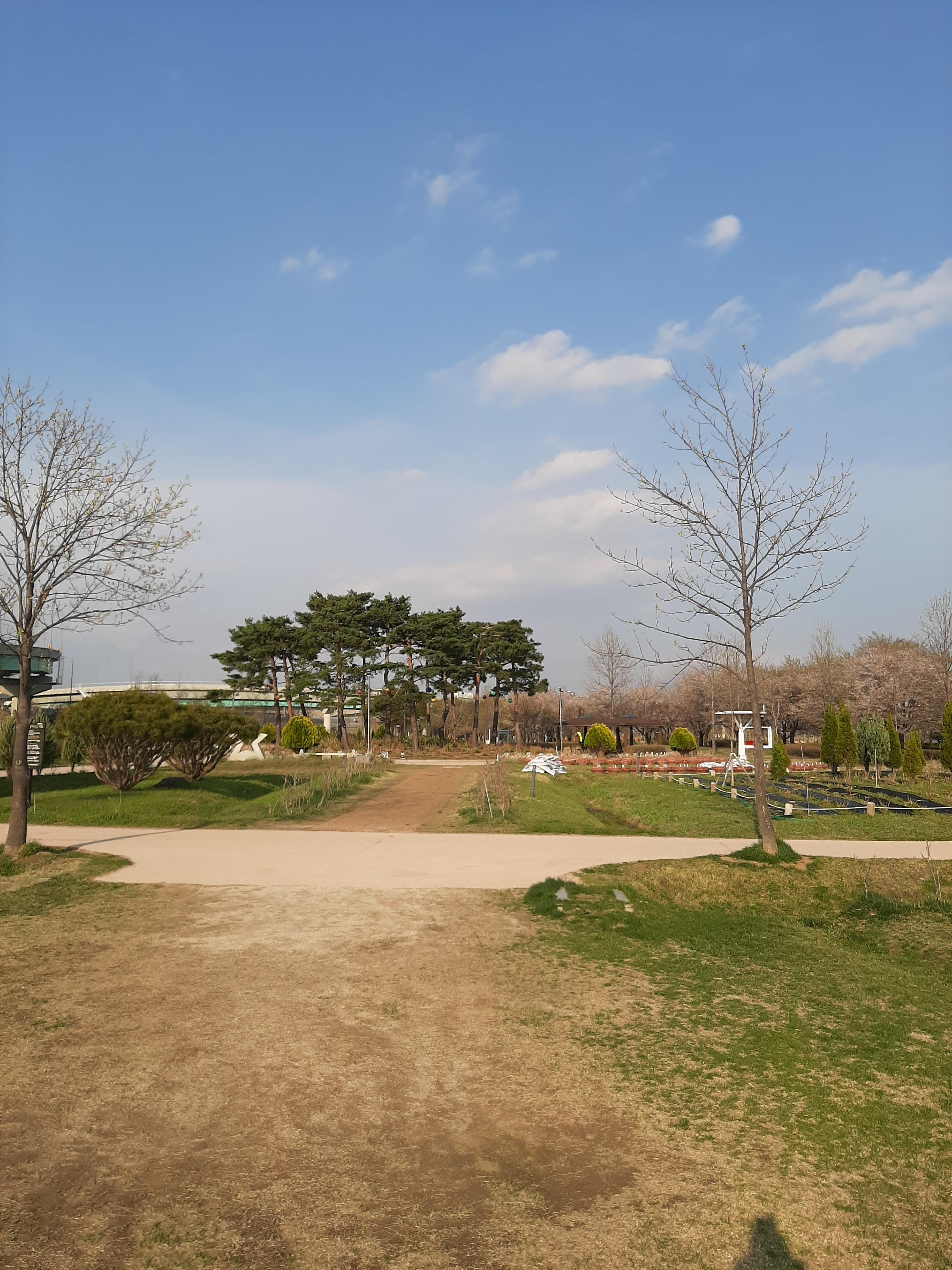 2025년 봄, 구리 한강공원의 초록 잔디와 흙길 풍경. 파란 하늘 아래 자연과 어우러진 평화로운 산책길 모습.