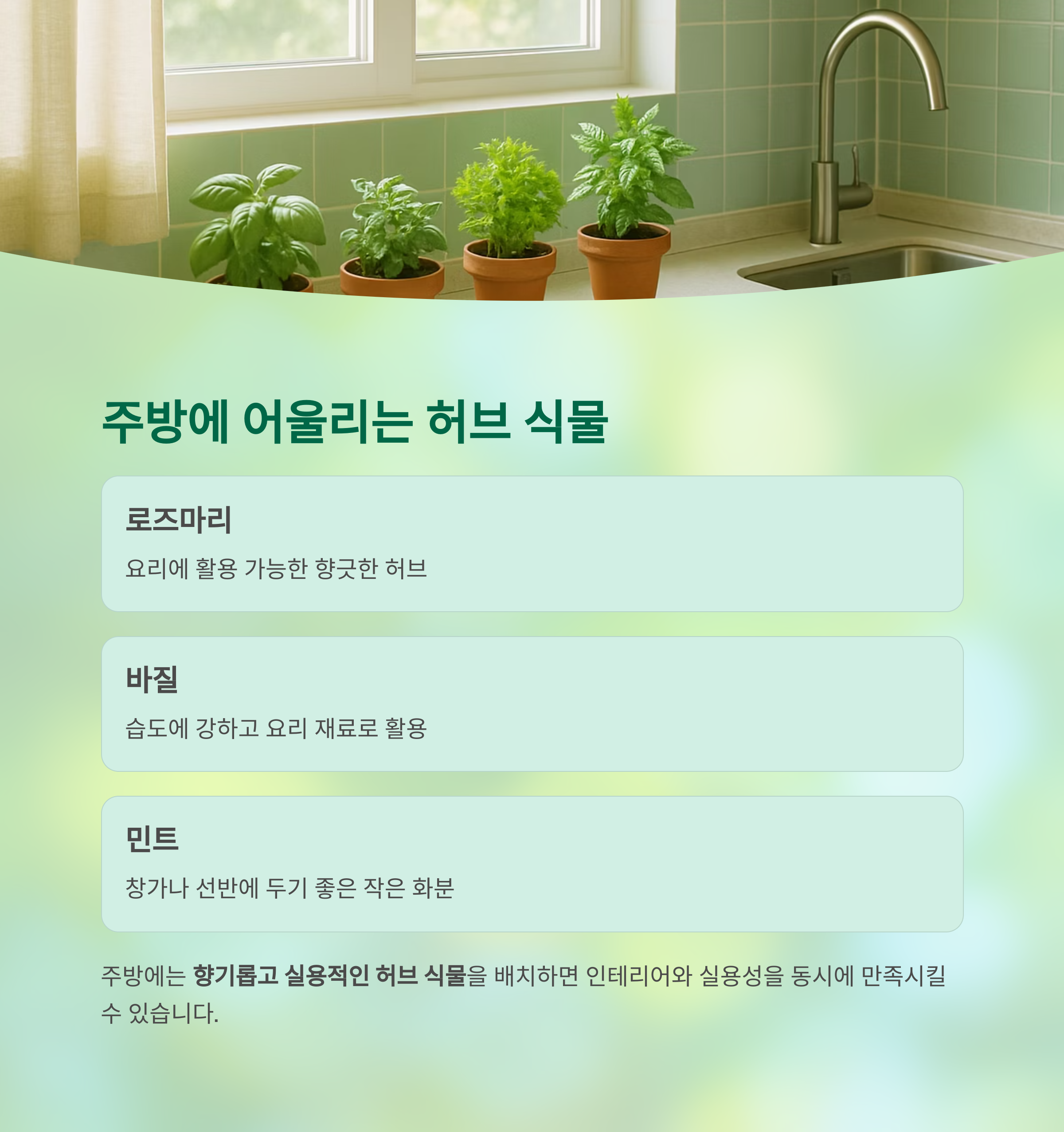 주방에 어울리는 허브 식물