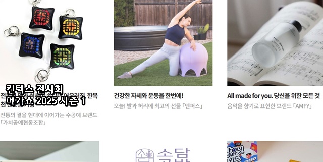 킨텍스 전시회 메가쇼 2025 시즌 1