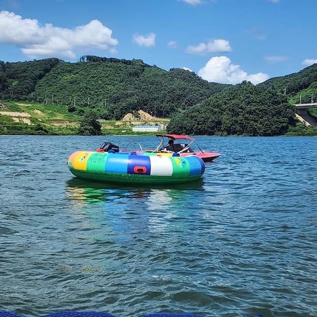 캠프통 포레스트 후기