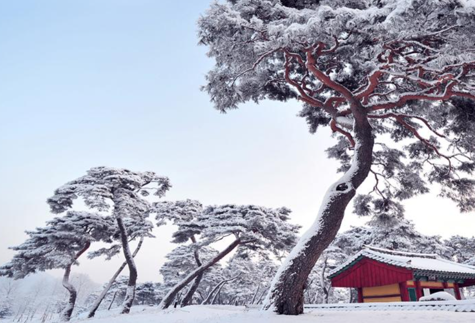 공주 가볼만한곳 베스트10