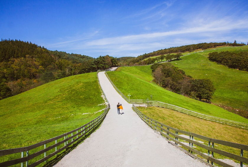 농장 도로 사진