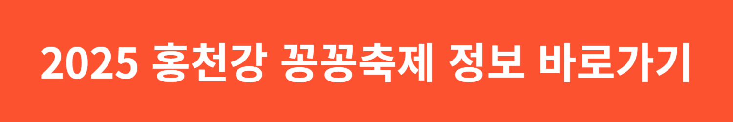 2025 홍천강 꽁꽁축제