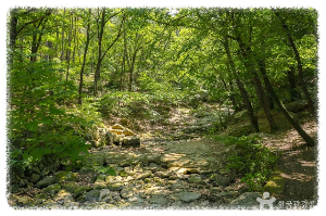 앞산