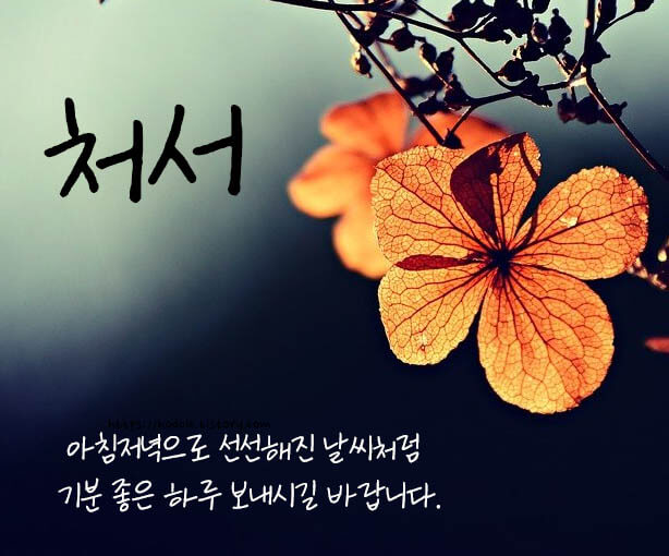 처서-카톡-이미지