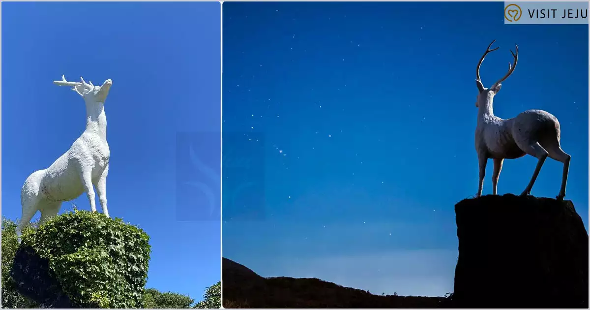 1100고지 휴게소 옆 사슴상