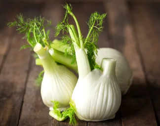 변비에 좋은 약초/출처:어도비스톡