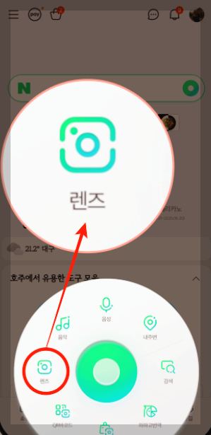 네이버 꽃 검색, 식물 이름 찾기 3분 정리