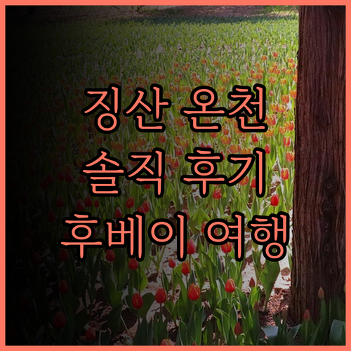 징산 톈무 온천호텔 솔직 후기 온천과