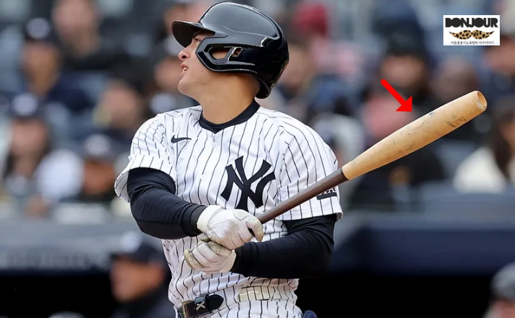 2025 MLB 시즌 뉴욕 양키스 선수가 사용 중인 어뢰배트 실물 모습