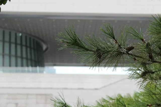 국립중앙박물관 상설전시 기획전시 예매 할인_1